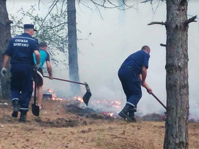 На Николаевщине бушует масштабный пожар — огнём охвачены десятки га леса