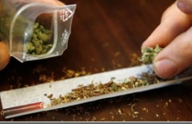 10 граммов марихуаны как вырастить коноплю книга скачать
