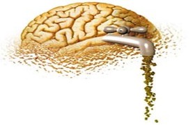 Утечка мозгов