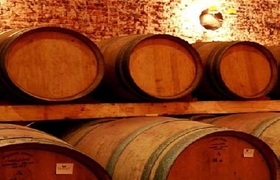 винный туризм