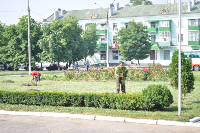 Перед самым приездом первых лиц области в Вознесенске стригли газоны