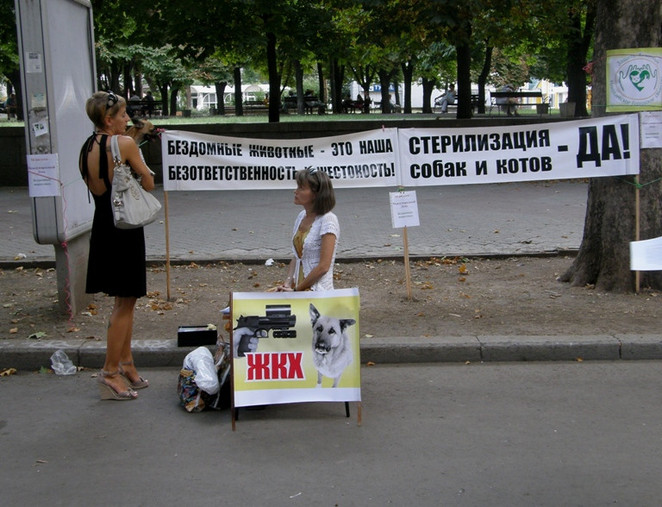 Муза Махова