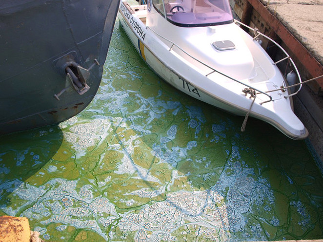 Очаковский порт