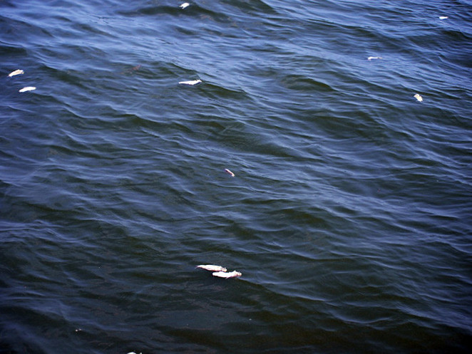 Район фарватера между Очаковом и о. Майским