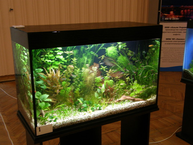 Конкурсные работы