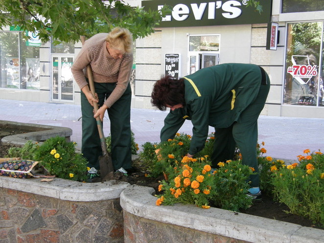 "Зеленое хозяйство" сажает цветы