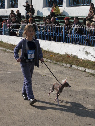мексиканская голая