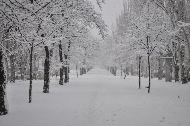 Аллея по пр. Ленина