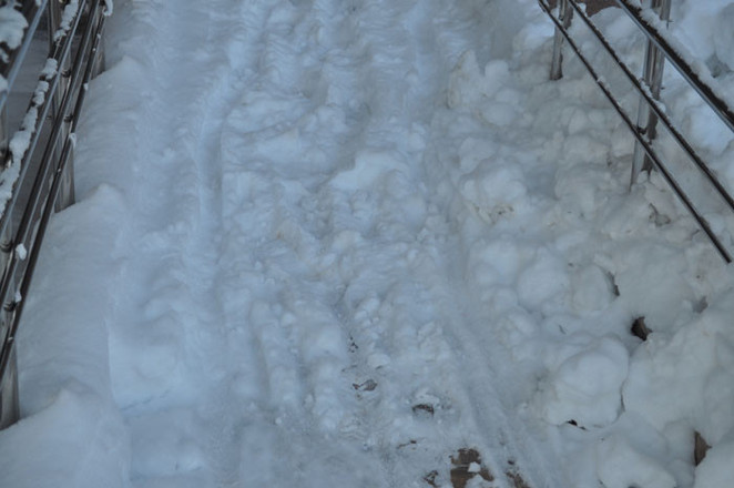 На снегу отчетливо видны следы от инвалидной коляски. По всей видимости, кто-то уже столкнулся с гостеприимством мэрии