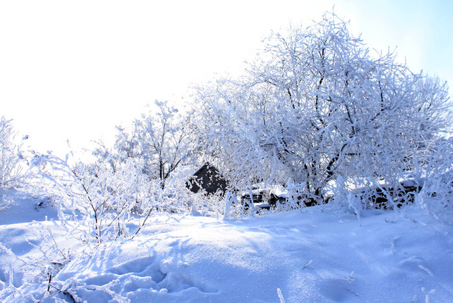 Фото: Анастасия Ткаченко