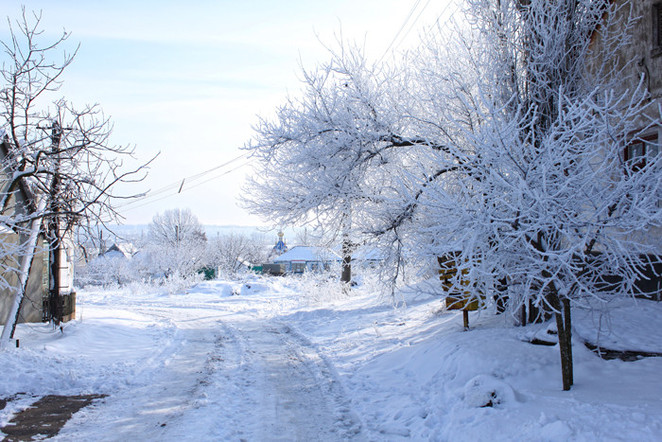 Фото: Анастасия Ткаченко