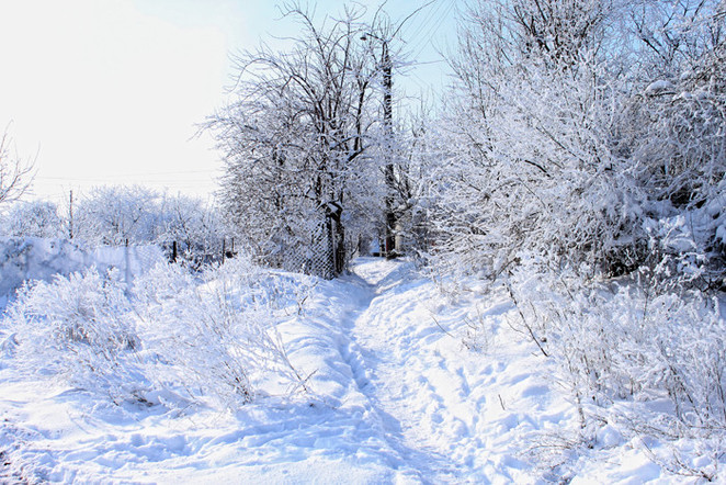Фото: Анастасия Ткаченко