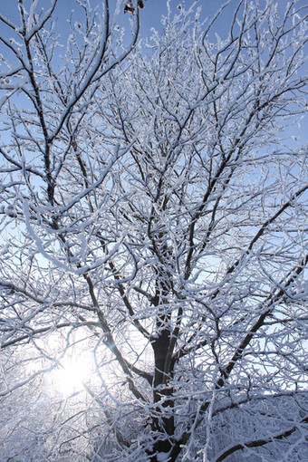 Фото: Анастасия Ткаченко