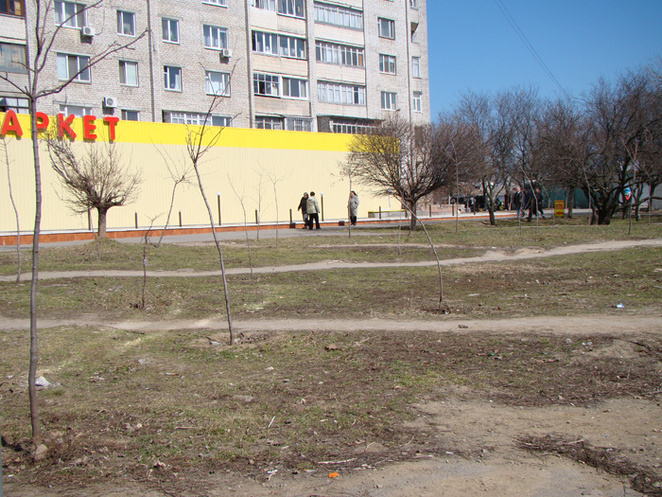 жители сами высаживали в пустом сквере молодые саженцы, чтобы хоть как-то озеленить и оживить территорию