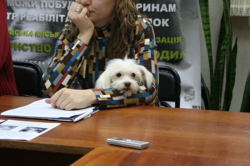 пресс-конф_пес