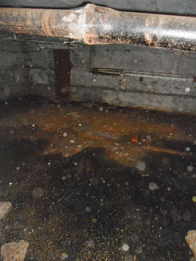 "В подвале сухо и утечек нет" - ЖЭК.