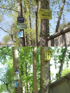 Тимофей Радя из Екатеринбурга превратил вывески на деревьях в единственное, что может висеть на деревьях — своречники.