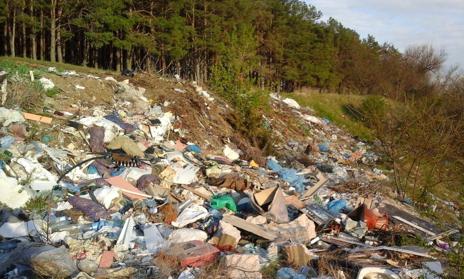 Загрязнение леса бытовым мусором