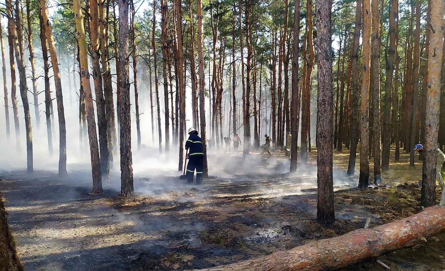 Ранняя осень незаметно подкралась к лесным урочищам. Урочище Кречно. Лесное урочище Немчик. Пожар в урочище Пески фото.