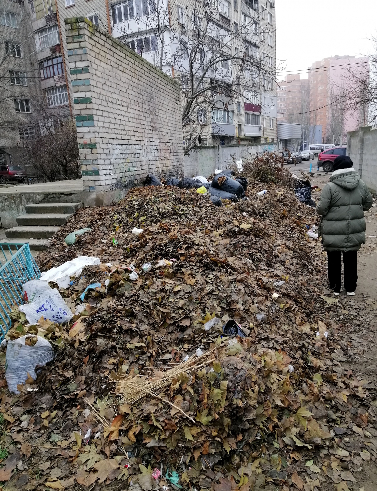 Жительница Центрального района возмущается замусоренным двором: «Наш двор  превращают во свалку»