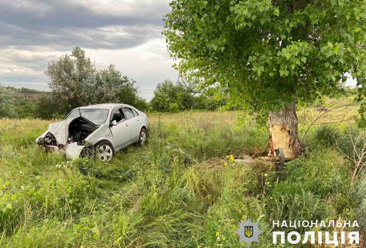 В Николаевской области авто влетело в дерево, водитель погиб