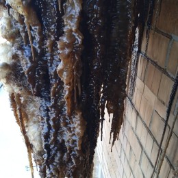 A heating pipe burst in a high-rise building in Mykolaiv (photo of residents)