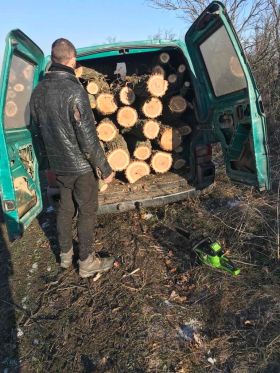 Мешканець Миколаївщини незаконно вирубував дерева у лісі. Фото:  Державна екологічна інспекція Південно-Західного округу