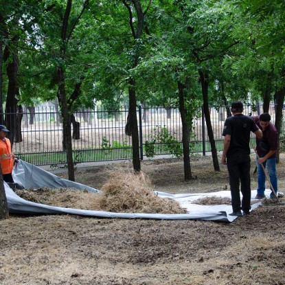 Utility workers are cleaning the territory of Victory Park. Photo: «NykVesty» July 2023