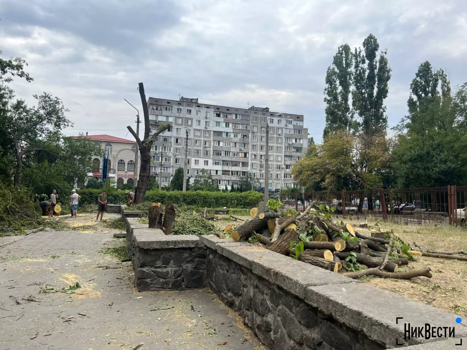 Снос деревьев возле областной больницы в Николаеве, фото: «НикВести»