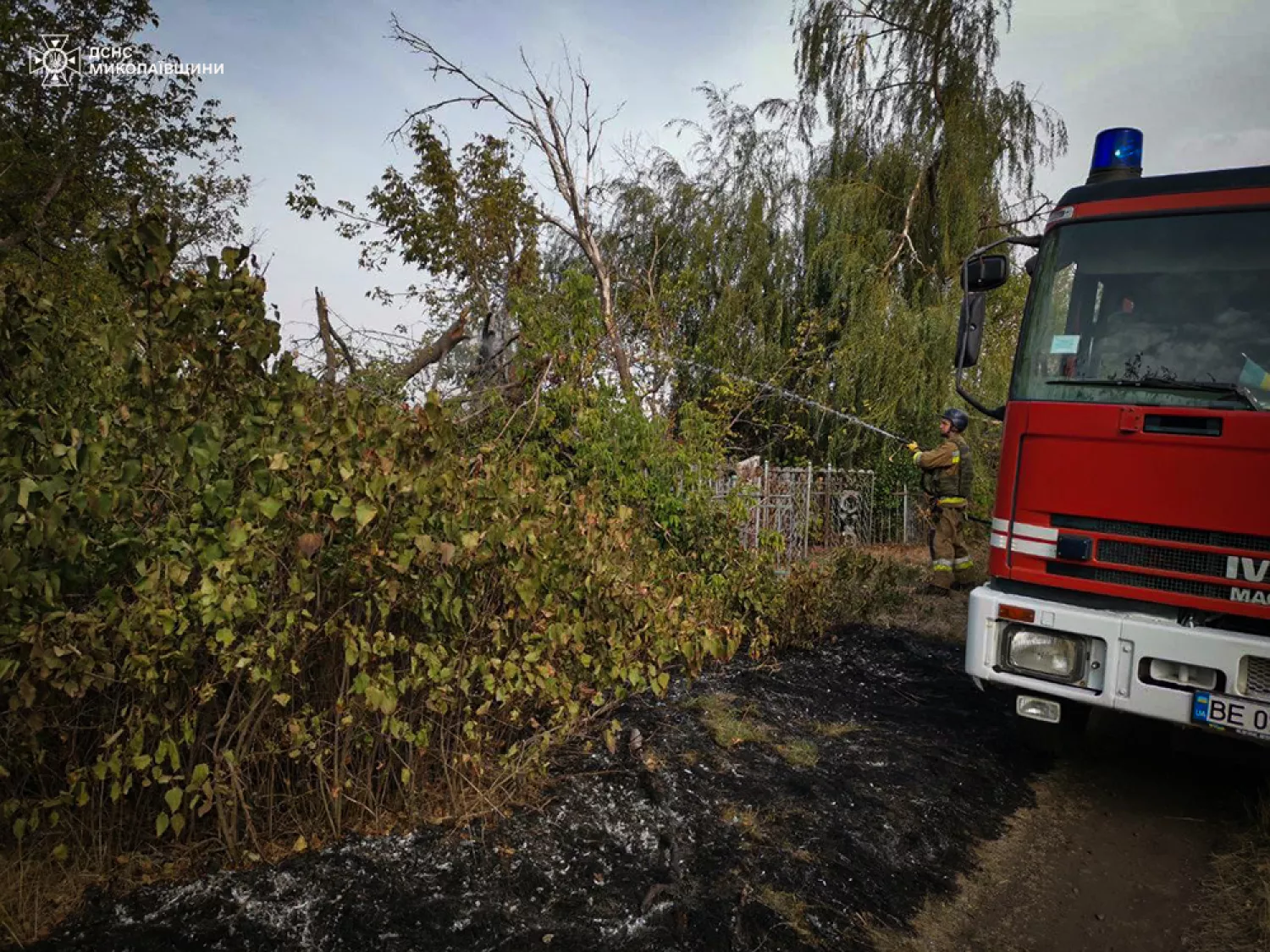 Пожары в Николаевской области. Фото: ГСЧС Николаевской области