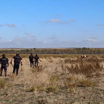 В Николаевской области пастух выпасал скот на заминированном поле, фото: ГСЧС Николаевской области