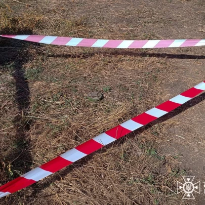 В Николаевской области пастух выпасал скот на заминированном поле, фото: ГСЧС Николаевской области