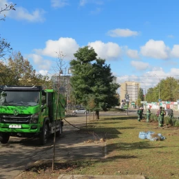 Сотрудники КП «Николаевские парки» высаживают многолетние кусты. Фото: