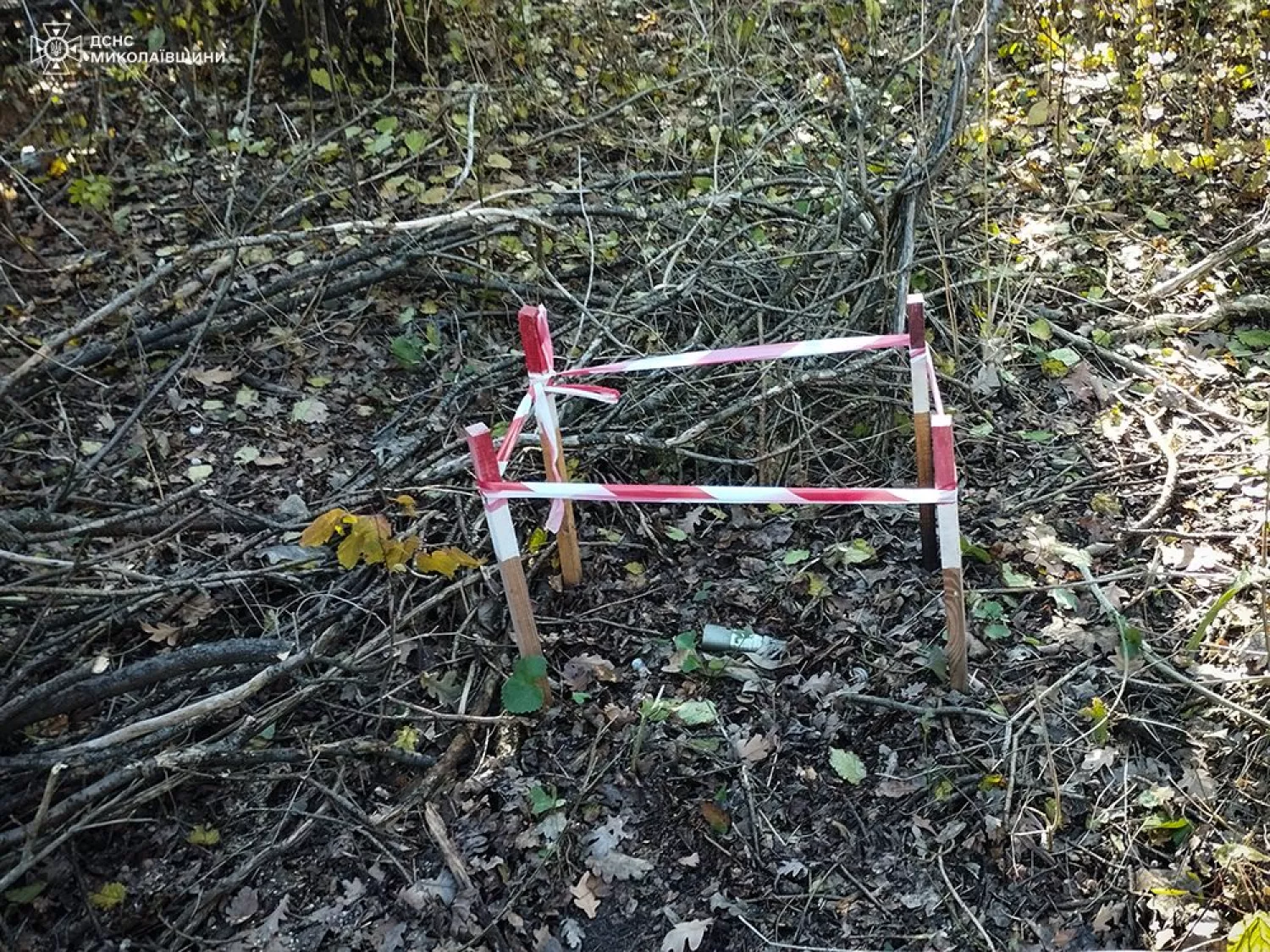 Кассетный боеприпас найден в парке Николаева, фото: ГСЧС