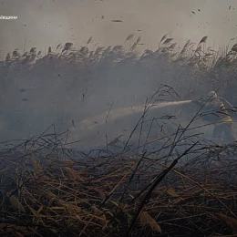 пожары в Николаевской области, фото: ГСЧС Николаевской области