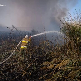 пожары в Николаевской области, фото: ГСЧС Николаевской области