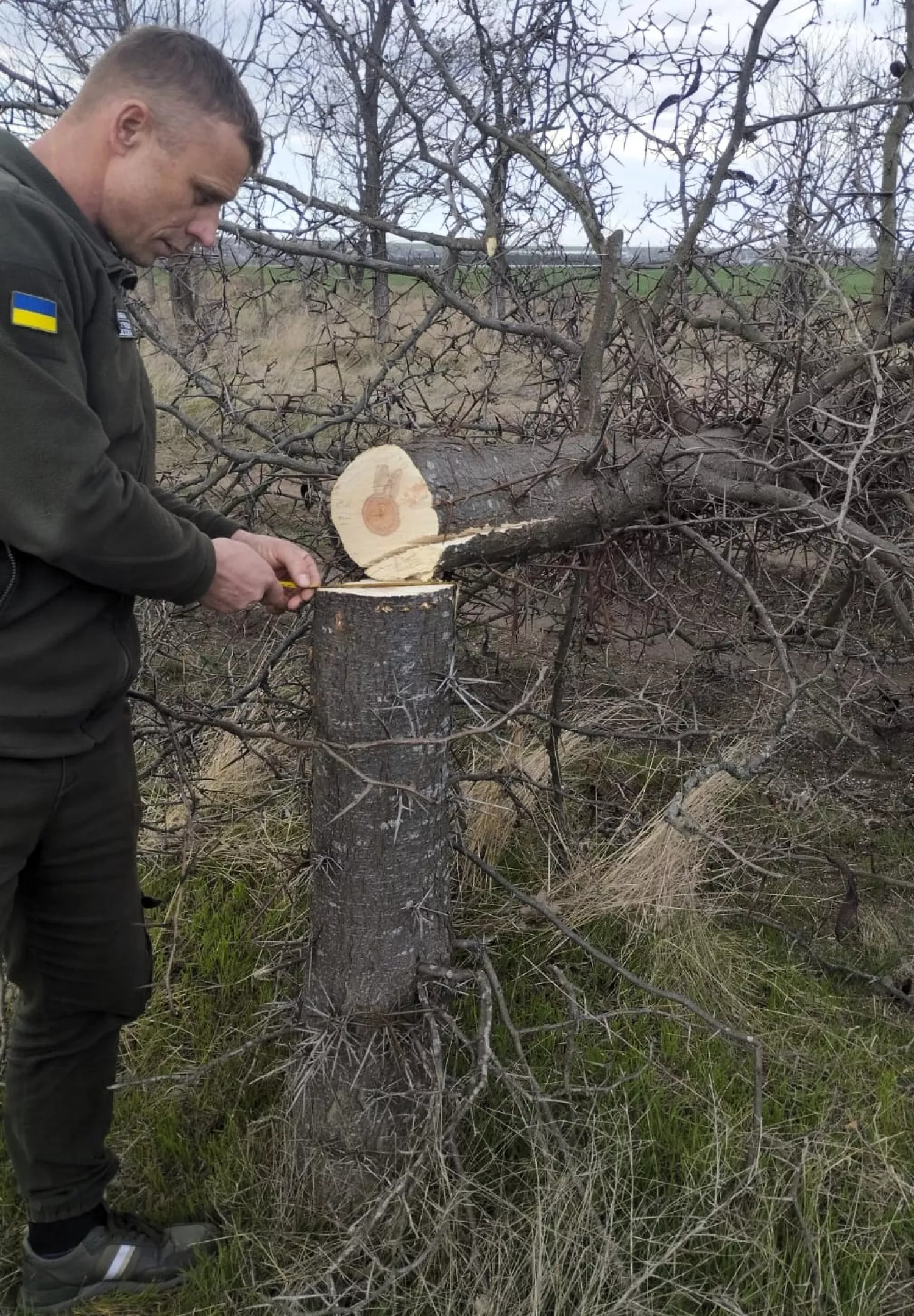 Екологічні інспектори фіксують наслідки незаконного вирубування дерев. Архівне фото: Державна екологічна інспекція Південно-Західного округу