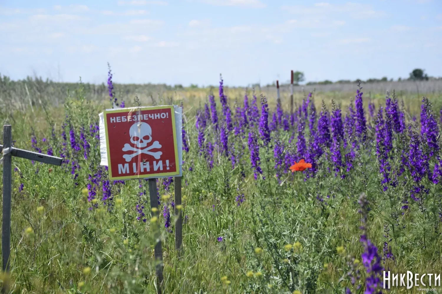 Demining on the territory of the Mykolaiv region. Archive photo «NikVesti"