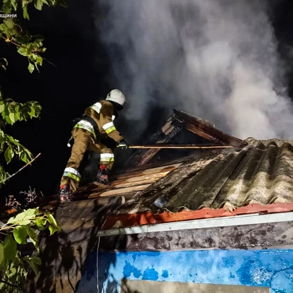 Пожежа у Миколаївській області, фото: ДСНС Миколаївщини