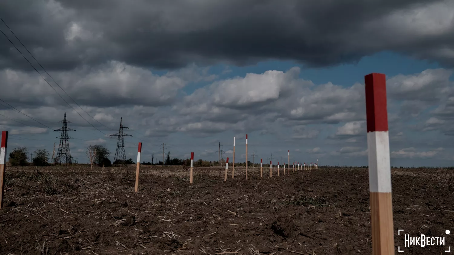 Fields in the Shirokiv Territorial Community, October 2024, photo «NikVesti"