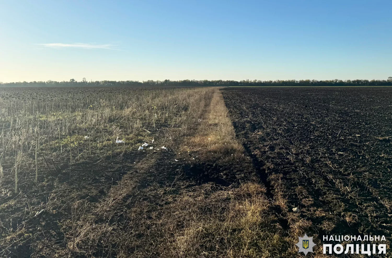 Четверо людей підірвались на залишках російського БпЛА на Миколаївщині, фото: Нацполіція