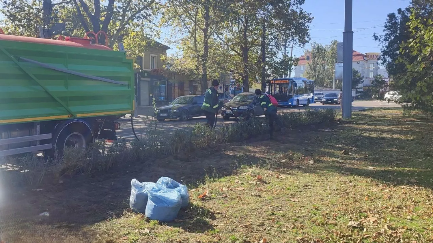 У центрі Миколаєва висаджують кущі. Фото: «Миколаївські парки»