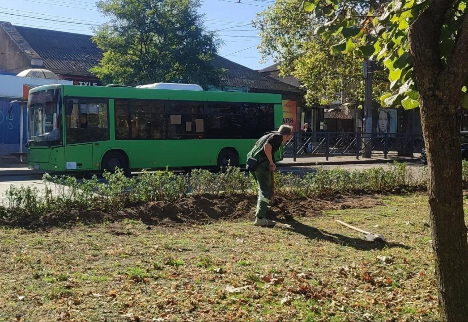 В центре Николаева высаживают кусты. Фото: «Николаевские парки»