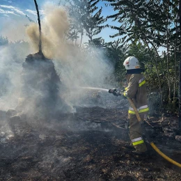 Пожежі у Миколаївській області 2 жовтня, фото: ДСНС Миколаївщини