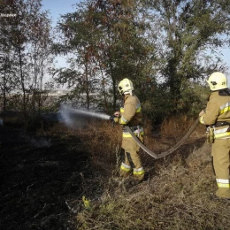 Пожары в Николаевской области 2 октября, фото: ГСЧС Николаевской области