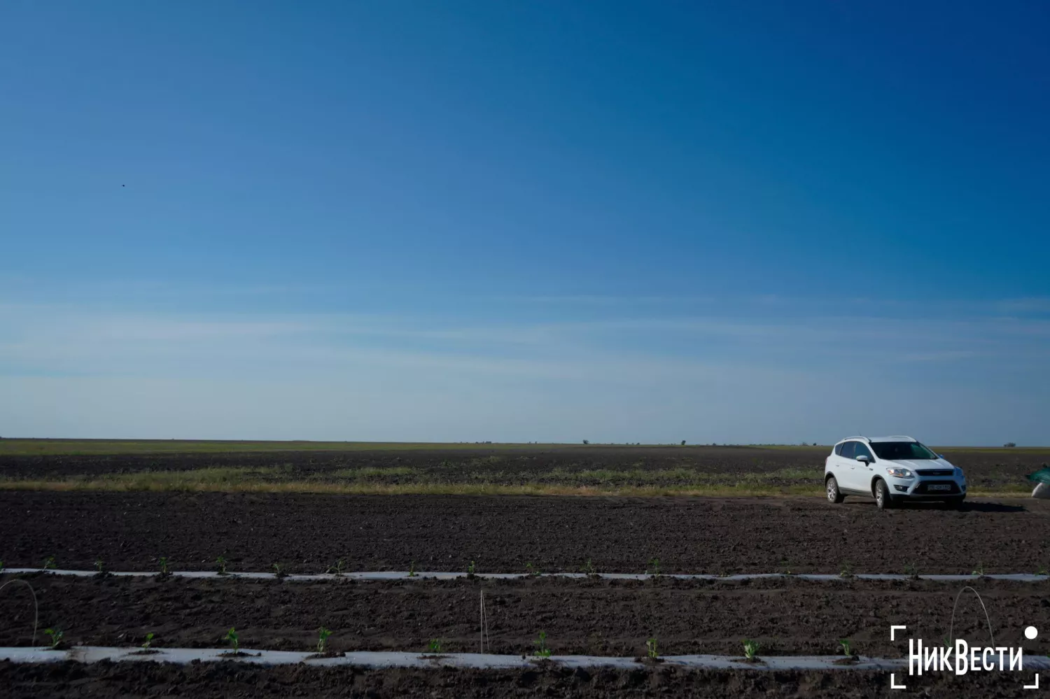 One of the fields in the Mykolayiv region, photo: «NikVesti"