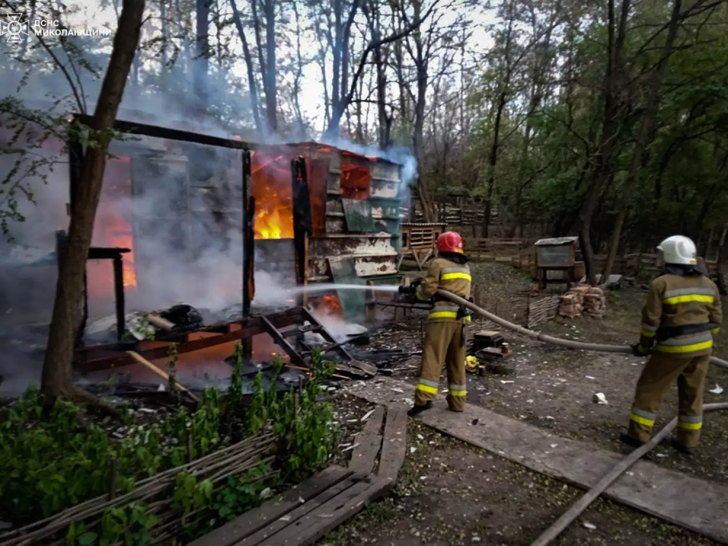 Пожежа в Миколаївській області, фото: ДСНС Миколаївщини