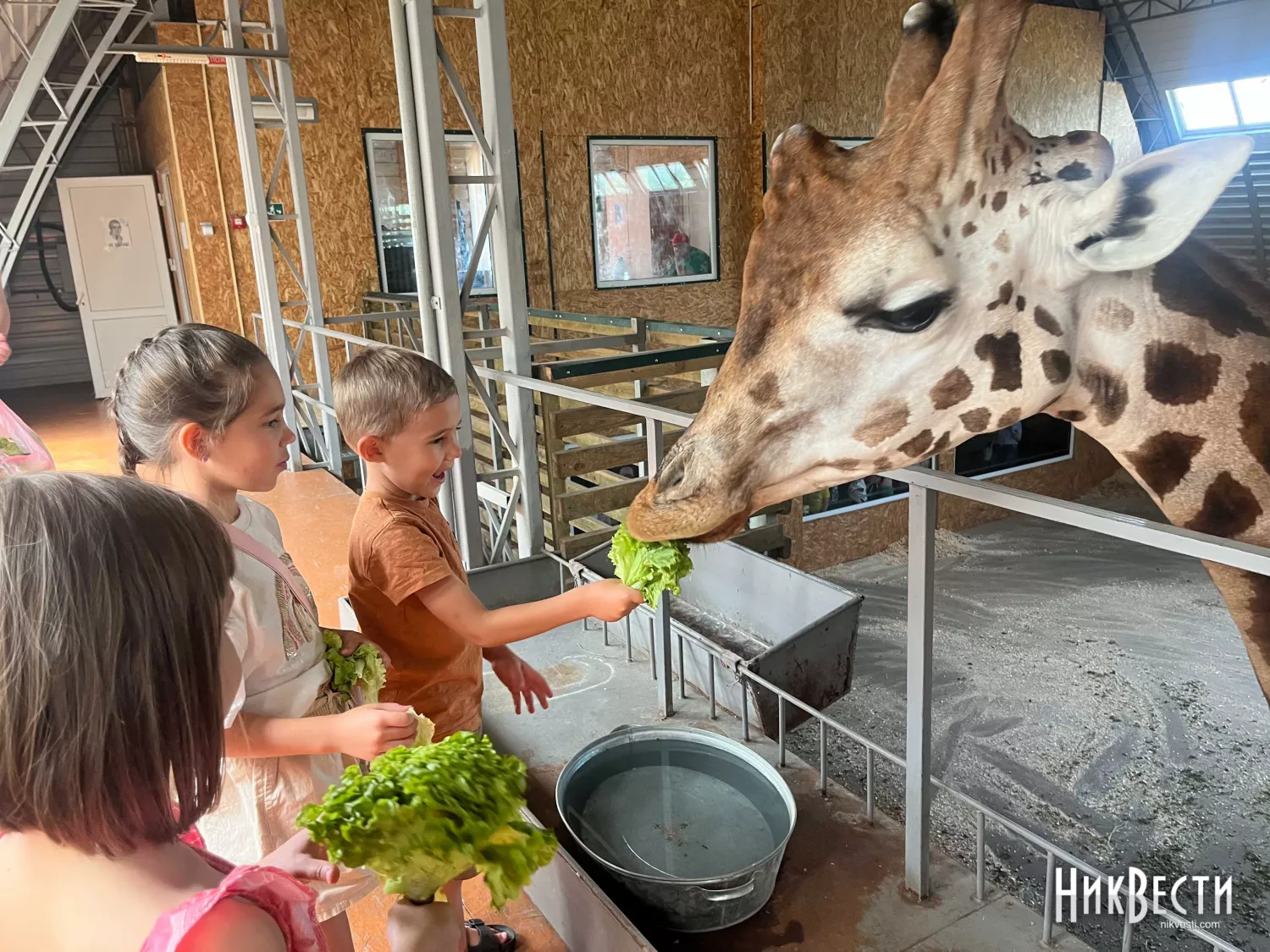 Mykolaiv Zoo, photo «NikVesti"