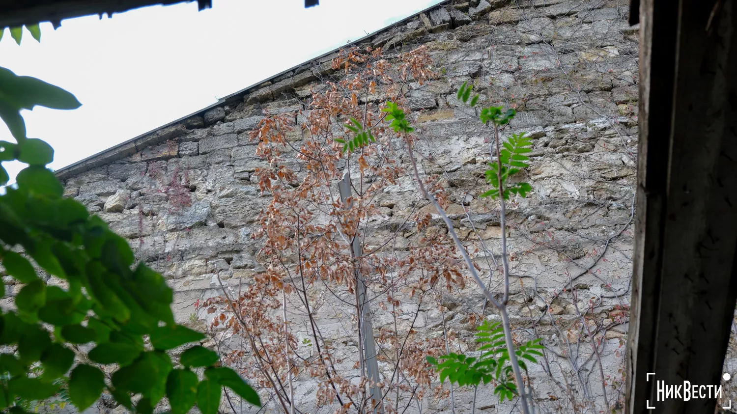 Adjacent wall between the college buildings of the College of Music, October 2024, photo by NikVesti