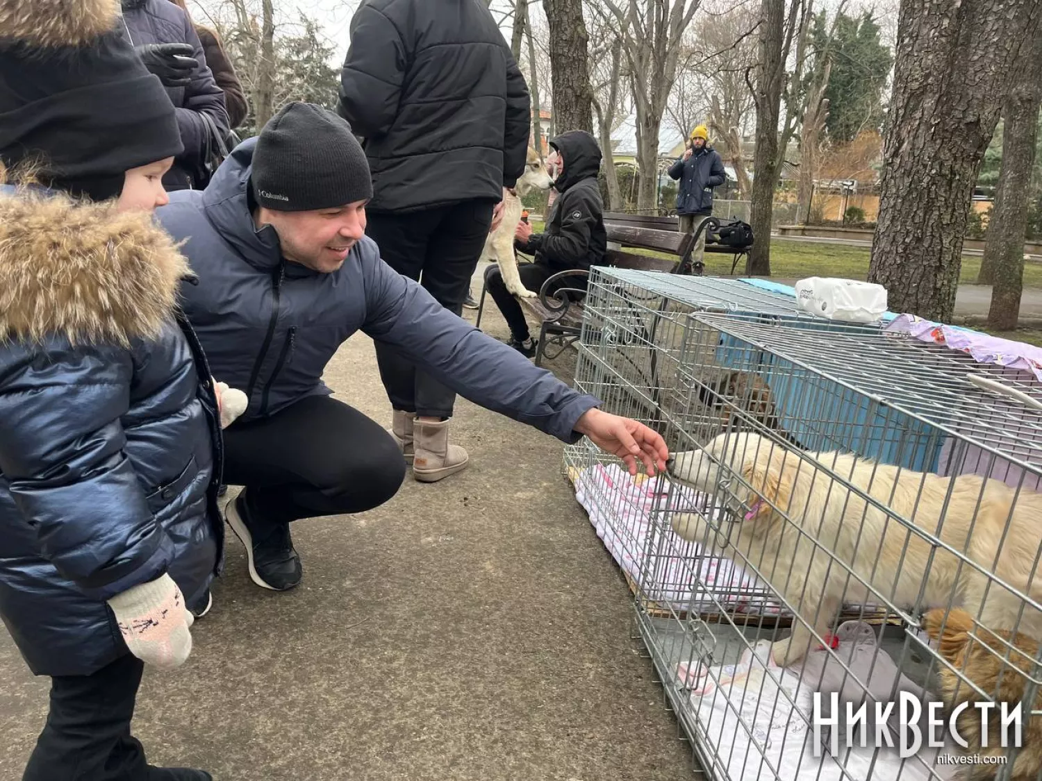 Николаевцы на благотворительной акции по устройству животных, фото «НикВести»